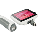 3,5&quot; portatif laryngoscope flexible de l'Endoscope 100mm de Clinica
