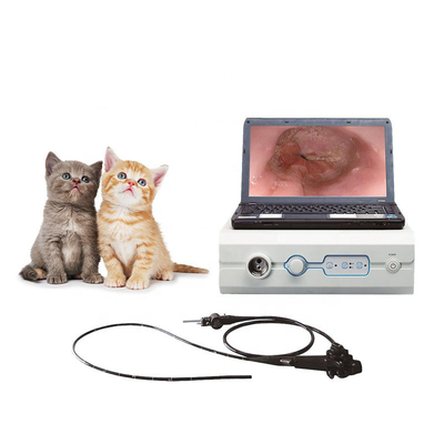 Fournitures médicales vétérinaires portatives du système 3-100mm d'Endoscope de 110 degrés