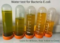 100 bactéries de PLA de bandes examinent le kit, bandes d'essai de l'ANIMAL FAMILIER E Coli